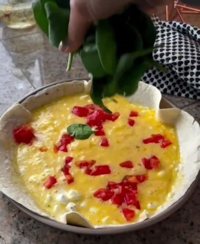 � ����������� ������� �������� ����������� �������� - ������ ����� �� ������