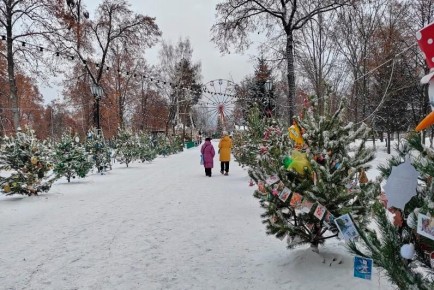 Что изменится в жизни тамбовчан с 1 февраля