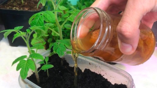 ��� ���������� ������ ������� � ������� � ������� ������� ����������� �������