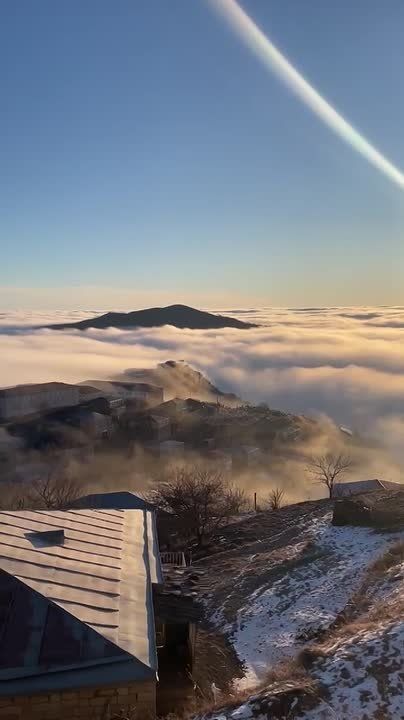 ������ �������� ���������