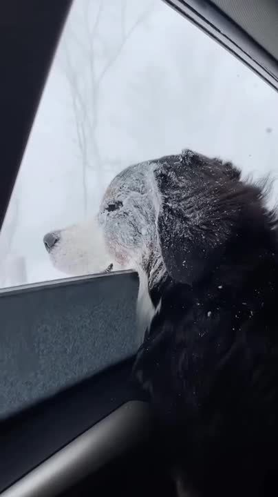 ��� ��� ����!