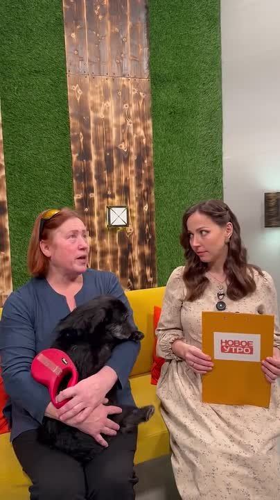 � "����� ����" ������� �������� ������������ ������ ������� ������ ������� ����������