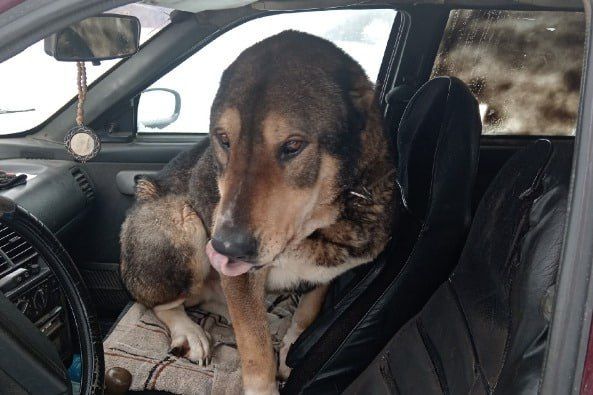 � ���������� ������� ������ ���������� � ������ ������