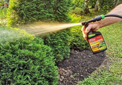 Как всего за полчаса обработать участок от муравьев и клещей с помощью нового препарата