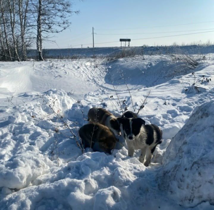 ���� �����: ����� ���� ���