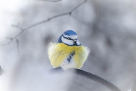 �������� ��������� � �������� ����