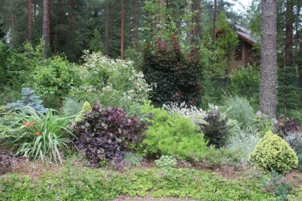 ��� � ����: ����� ������, ������� ���������� �������� ����