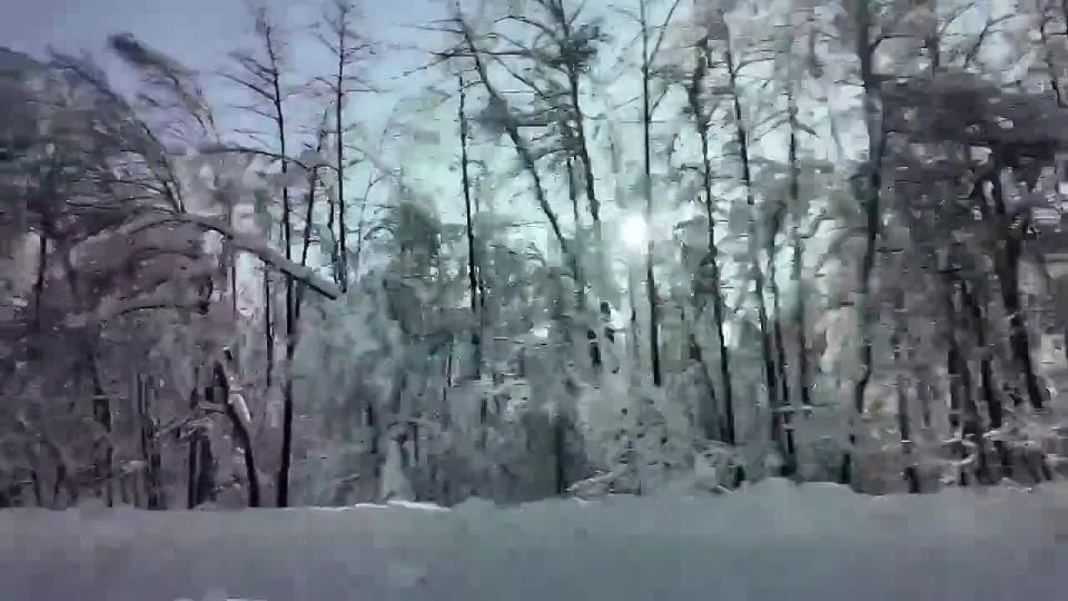 ������ ������������ ���� ��������� ������ � ����������