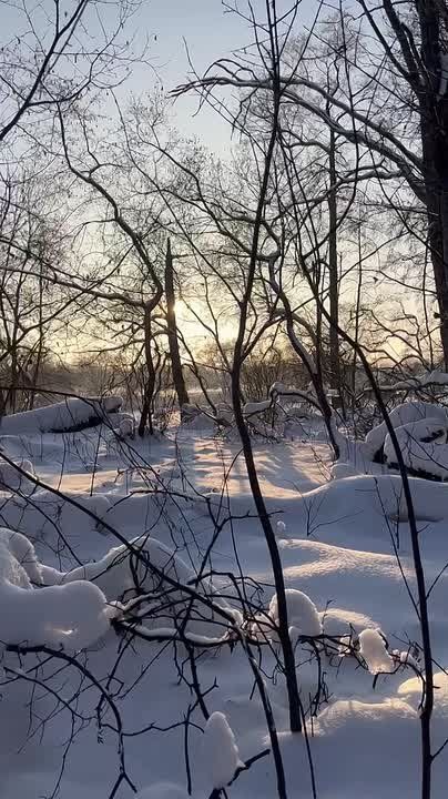 �������� ��� �� ������ ������