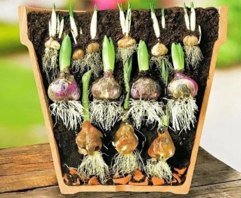 ��������� �������: ��� ������� ����������� ���������� � ����� ������