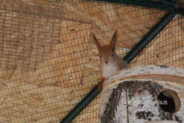 ����� ����� ������� ��������������� �������� �������� � ���������� ������