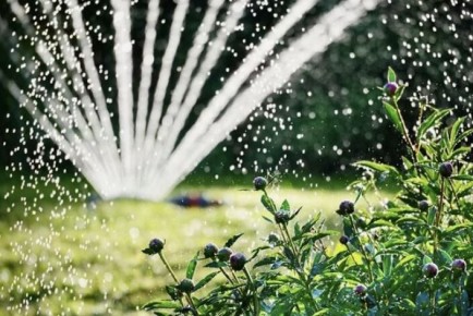 �������� ������������� �����: ��� ��������� ������� ��������� � ����