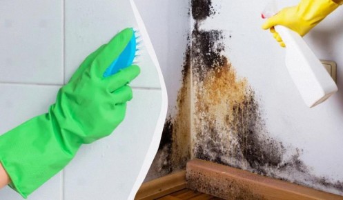 ����������� ������� ������ � ������ �������� � ����� ����