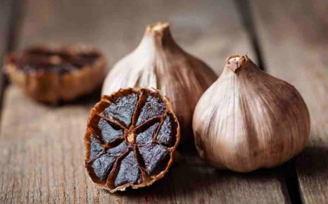 ���� �� ������� �������: ����� ������ �� �����