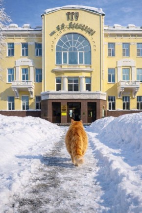 � ������������ ������������ ���� ���� ��� ������