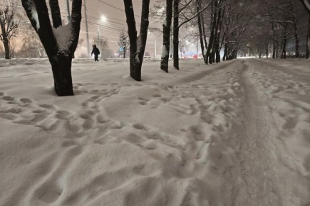 ������� � ���� �� 4 �������: