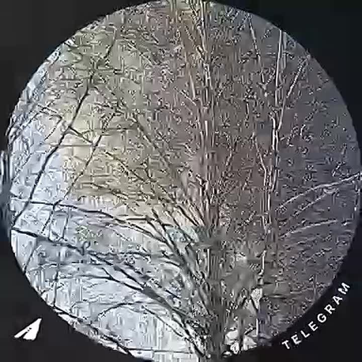 �������� ������������ � ���������� �������� ���������� ������