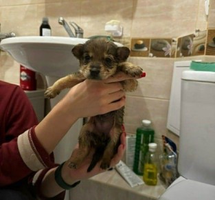 ���� �����: ����� ���� ���