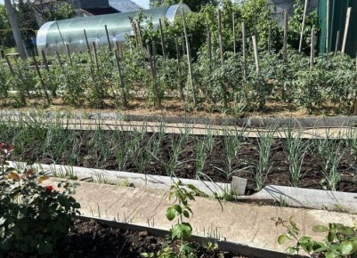 ��� ���������� ������� � ���� � ���� ��� �������� ������?