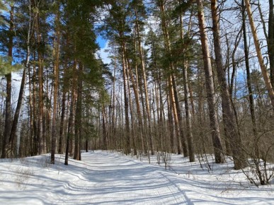 �� ������ ������������ ������� ��������� ���������� ������� �� ���� �������� ������� �������� ������ �� ������������ ������� �����