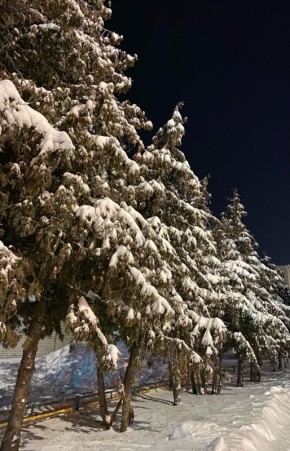 ������� � ���� �� 5 �������: