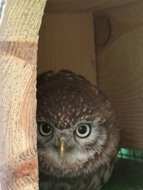 � ����� ����� ������� ���� ������ �����