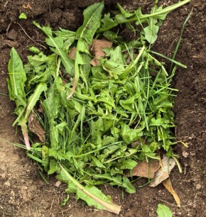 ����� ����� ������� ��� ���������� ������: ������ � ������������