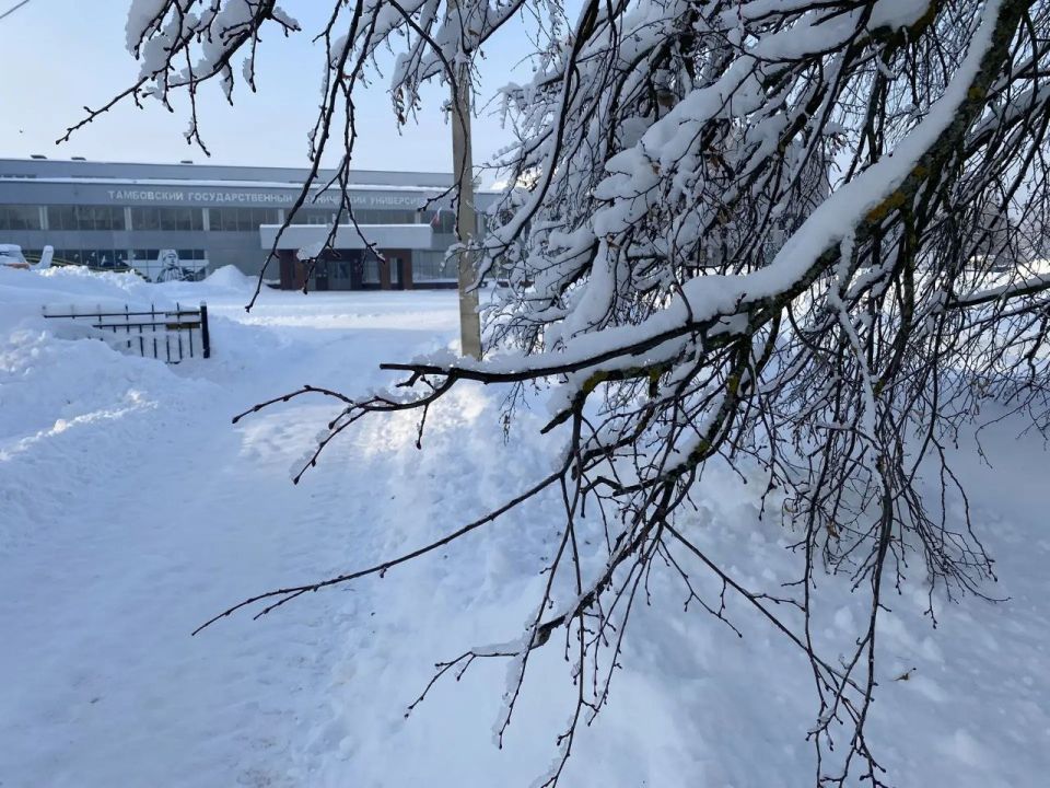 6 ������� ������� ���� ������� ���������������� ����� � ���� ������ ���������������� �������� ���� ������� � ������������� �������