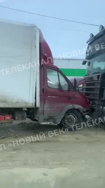 �� ������ �� ���� �������� ���