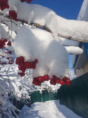 ���� � ���� ���� �������. ���� �� ����� ���������� ������� ���������