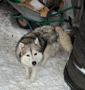 ���� �����: ������ ���� ������