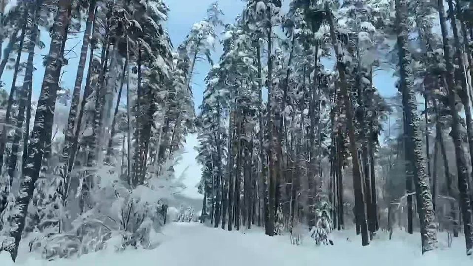 ������ �������� ���������