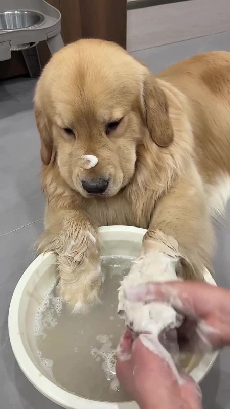 �������� ���������