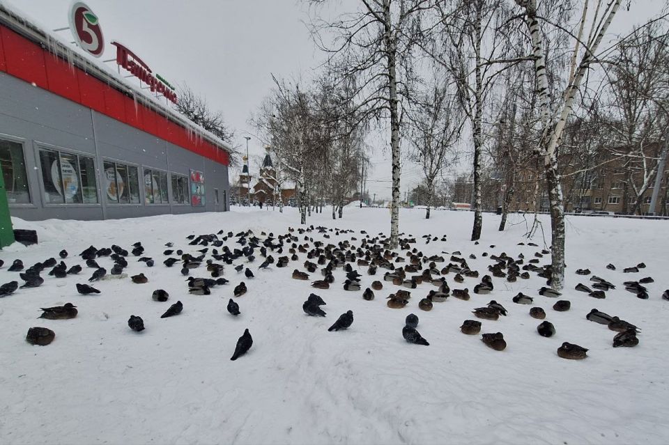 ������� �������� ���� � ������� �������� � ������� � ������ �������