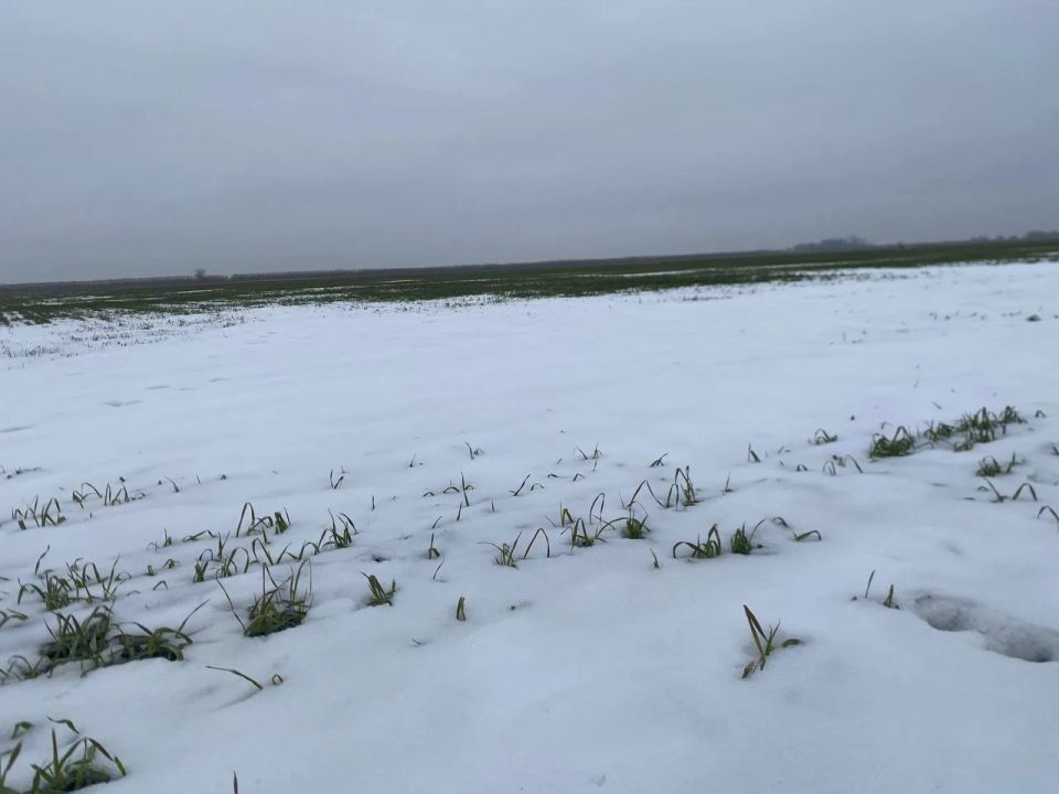 �������������� ������ �������� ������ ����������� ��� ������