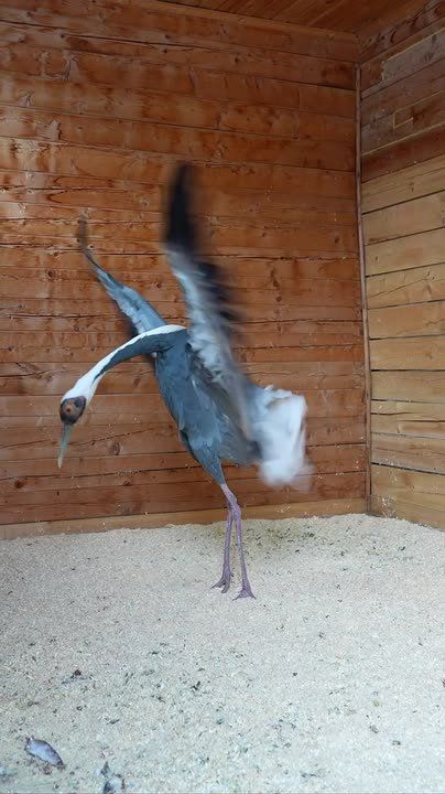 ����� �� ����� �������� �����, ����������� ��������� �������� ����������� ������ �� ������ �����������