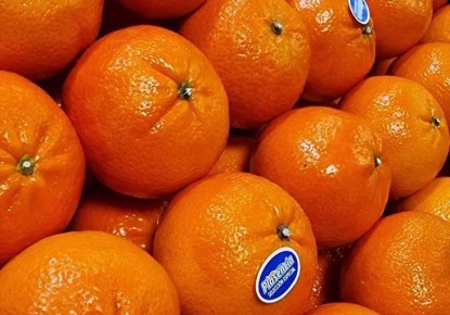 ������� �������� ������ ������� ������ ��������� ��������: ���������� �������