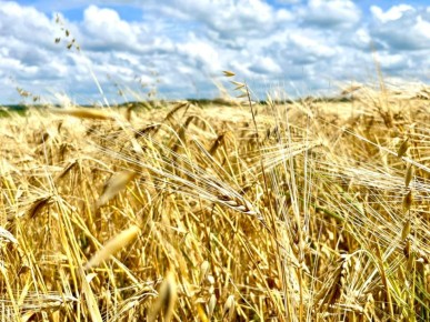 �� ���������� ������������ ��������� ��������� ���������� �������, � 2025 ���� ����� �������� ��������� ��� ������� � ����������� ��������� ������ 429 ��� ��������