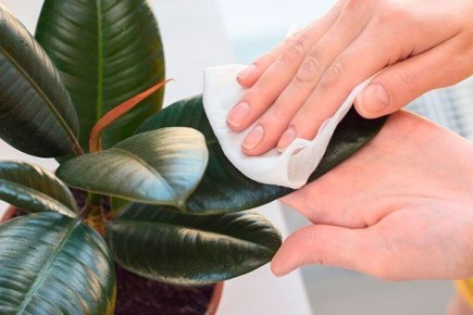 ����� ����� ����� ������?