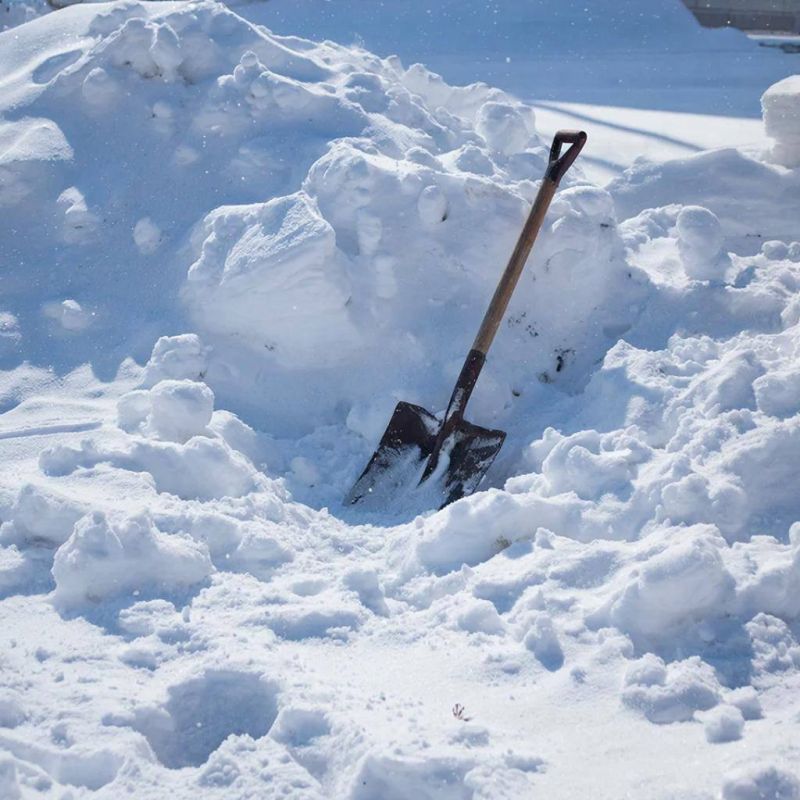 ����� ���������� ������� ������� �������� ��� ��������� �� ������ ����� � ���������� � �������