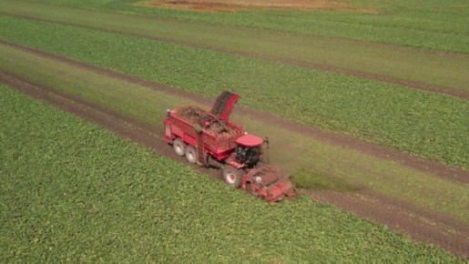 ������� ��������� ��� ���������� ������� � 2025 ���� ���������� �� 30%