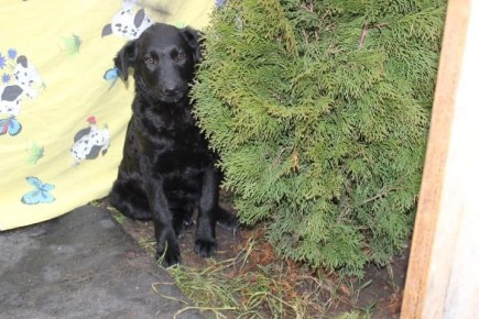 ���� �����: ����� ���� ���