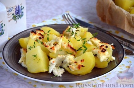 ������������� ������� ��� �������: ������������ �� �����