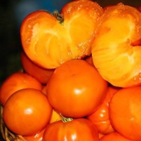 ����� ����������� ������: ��������� ���������� ��� ������ ���� � �������