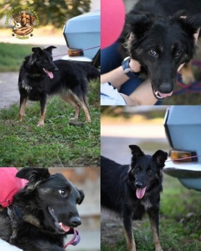 ���� �����: ���� ���� ���. ���� ������ ��-��� ������������ ����� �� ���������� ��� ������