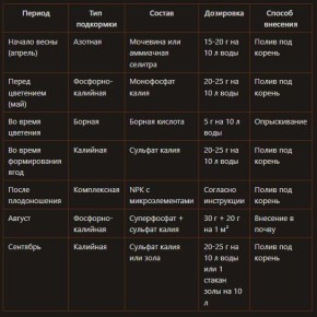 ���������� �����: ��� ��������� �� ������� �� ����� �� ����