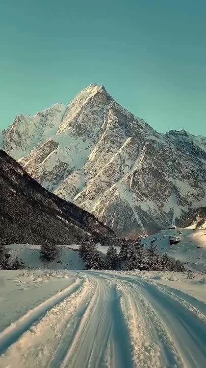 ������ �������� ���������. ���� ��������� ����������� � ���������-���������� ���������� �� �������� �������