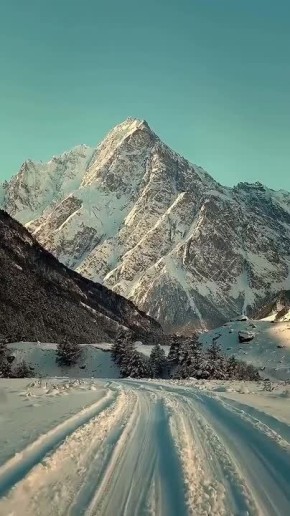 ������ �������� ���������. ���� ��������� ����������� � ���������-���������� ���������� �� �������� �������