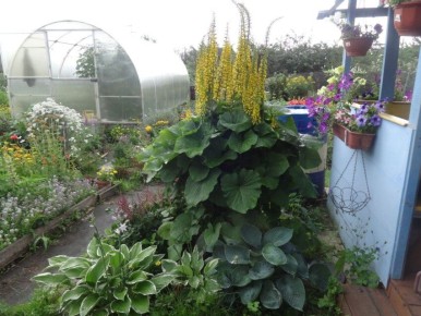 ����������: ����������� ������������ �������� �������