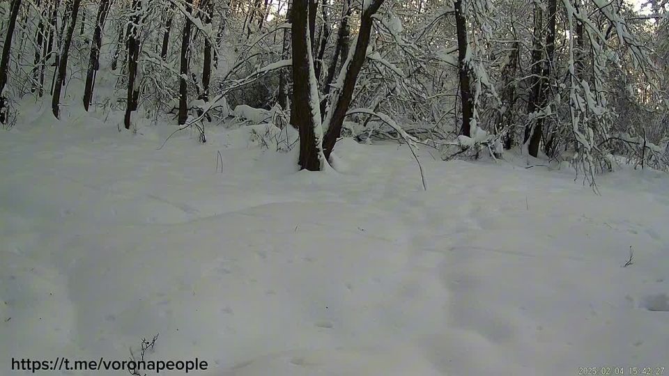 ���� ����������� �� �������� � ����������� �����������